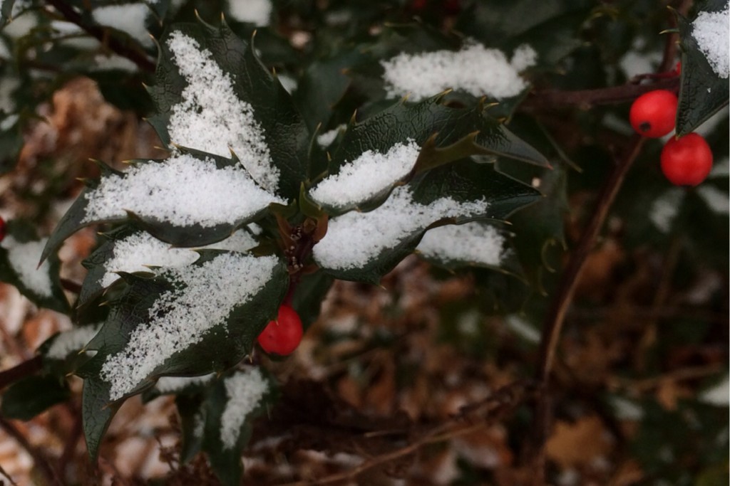 Light Snow 8