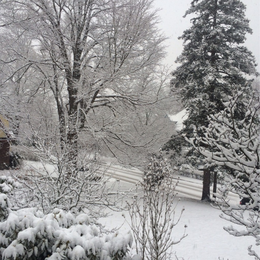 More Snow 1