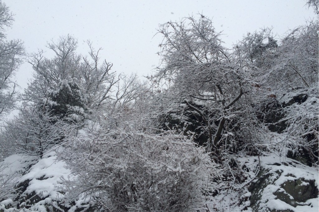 More Snow 3
