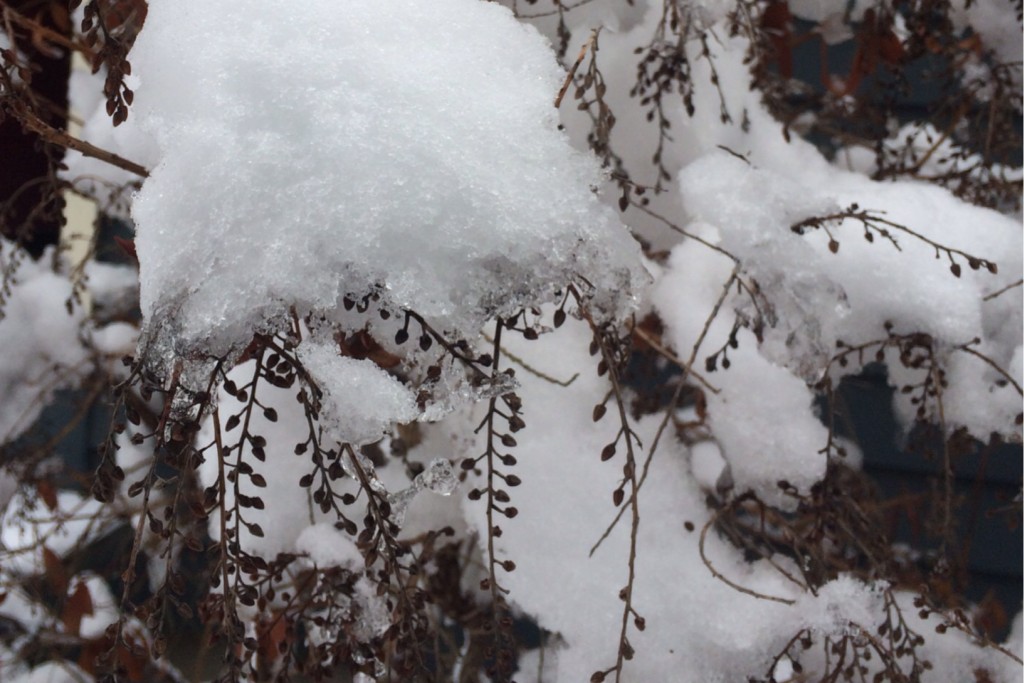 More Snow 4