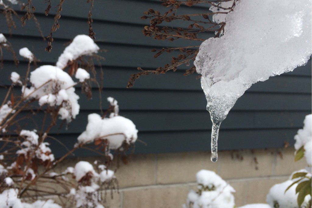 More Snow 5