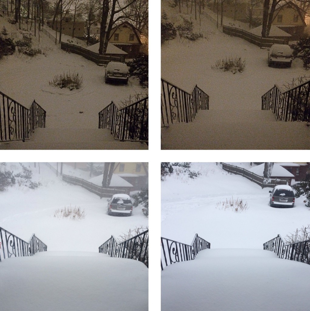 Progress of Blizzard
