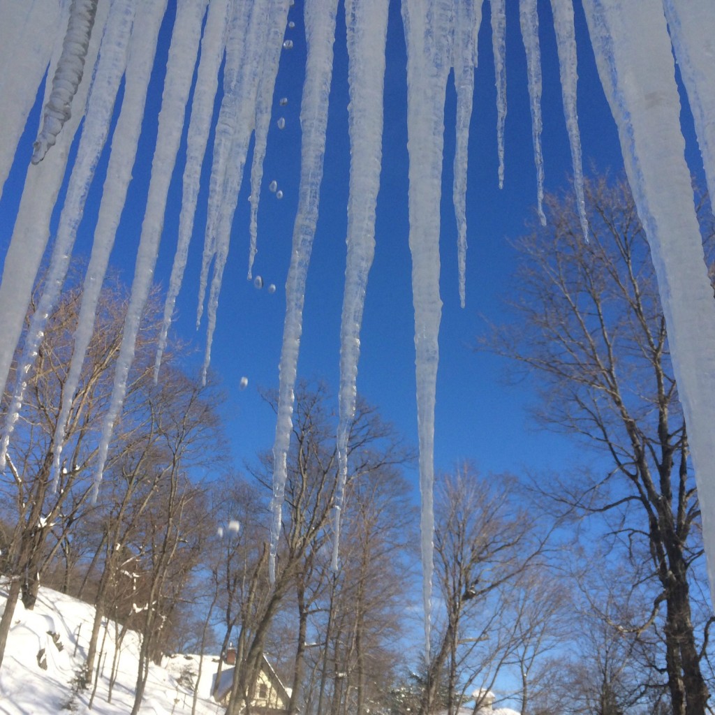 Silent Sunday 150201