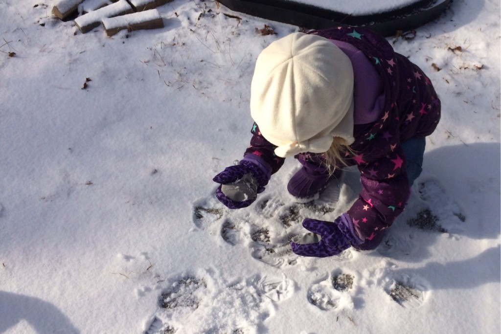 Snow