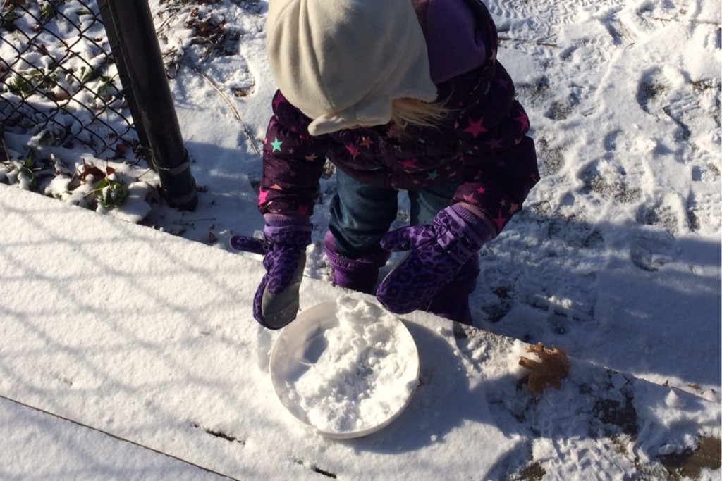 The Snow Pie