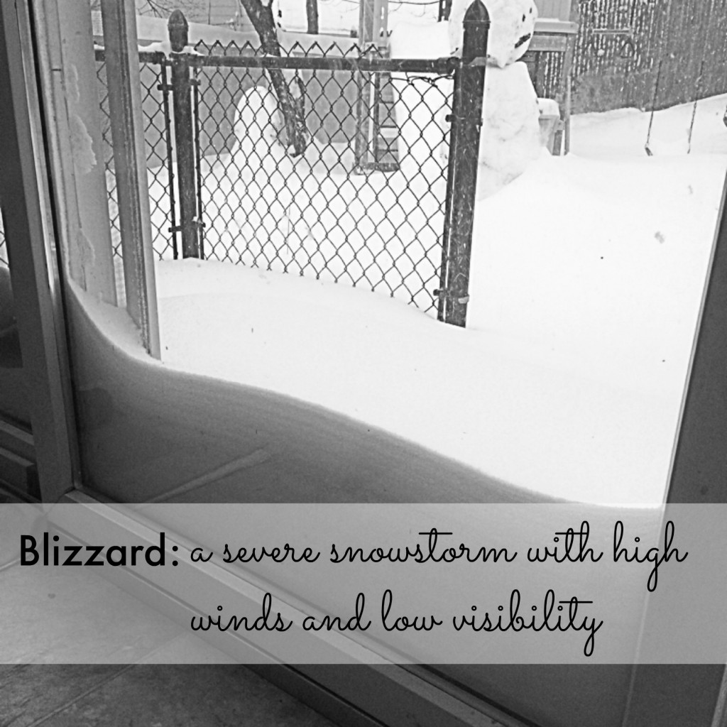 The Truth About Blizzards