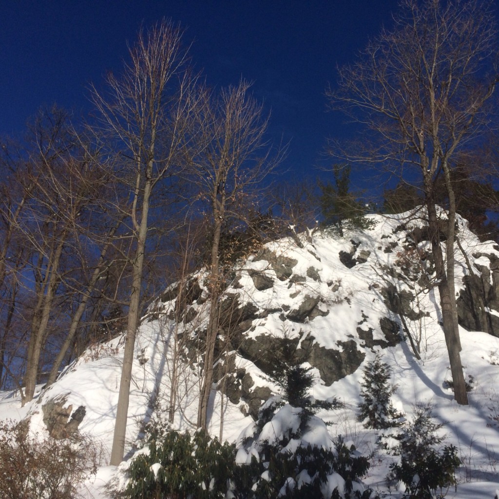 Winter Wonderland