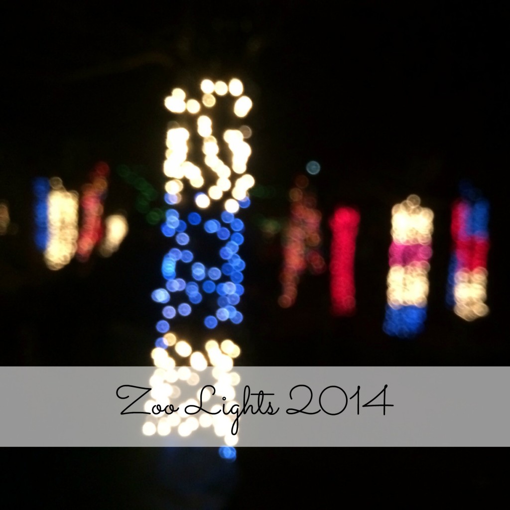 Zoo Lights 2014