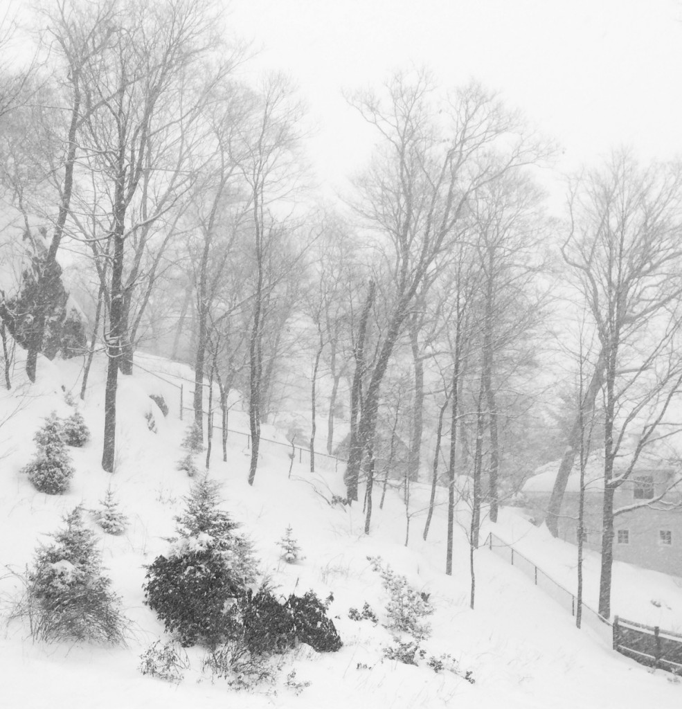 150208 Snowfall