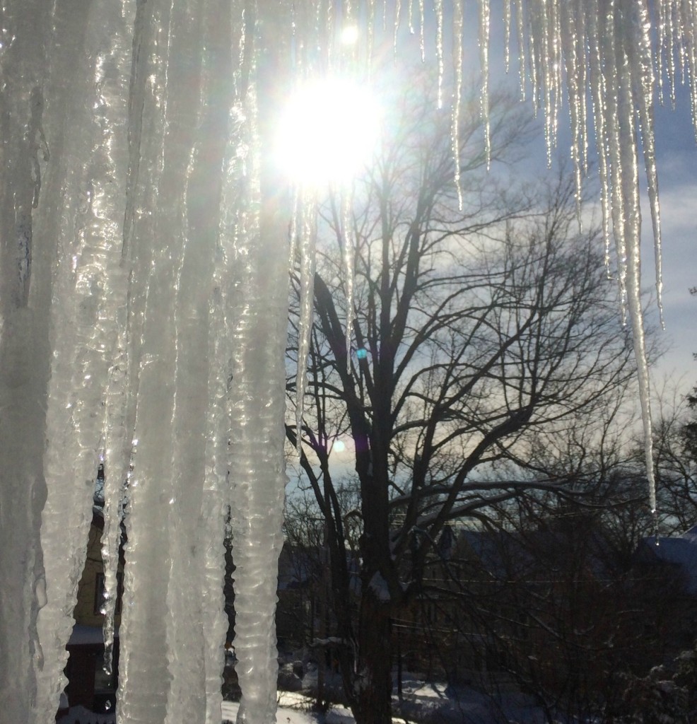 Silent Sunday 150208