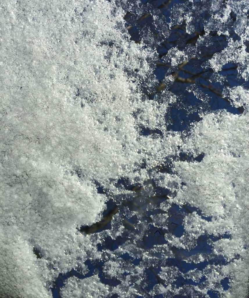 Silent Sunday 150215
