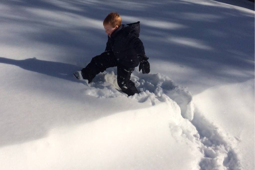 Wading 2
