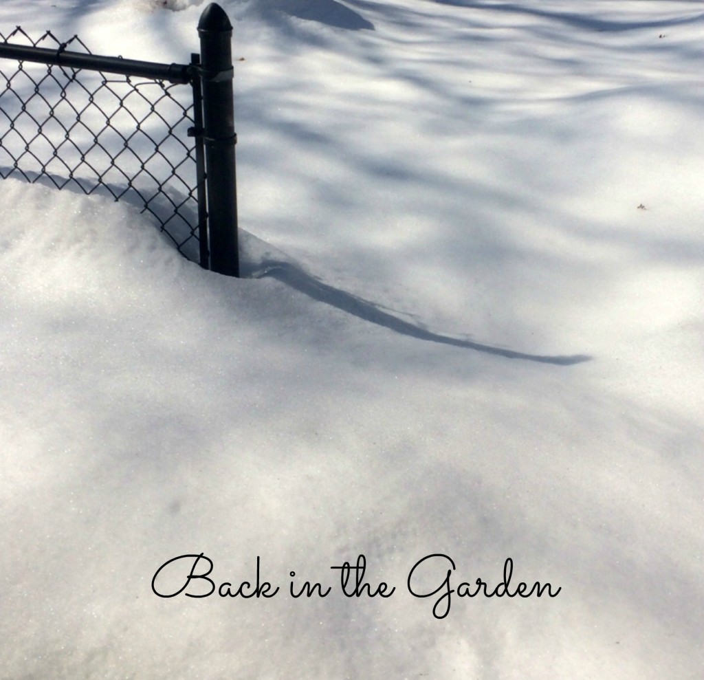 Country Kids Back in the Garden