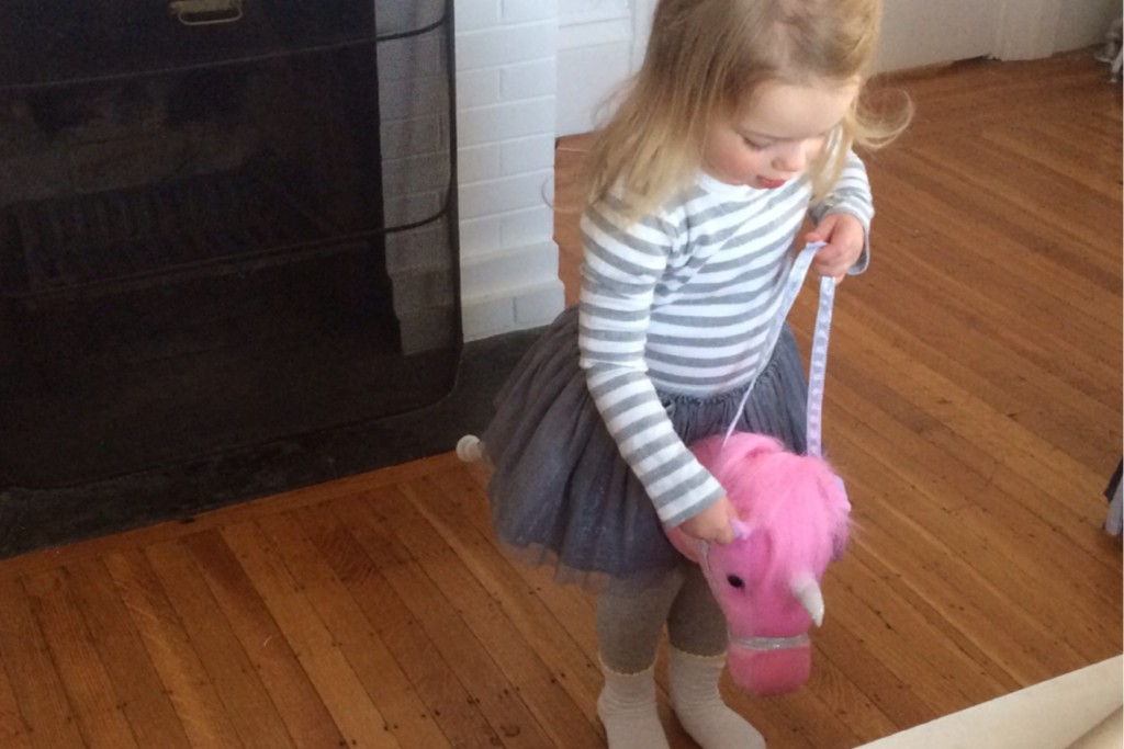 Hobby Horse