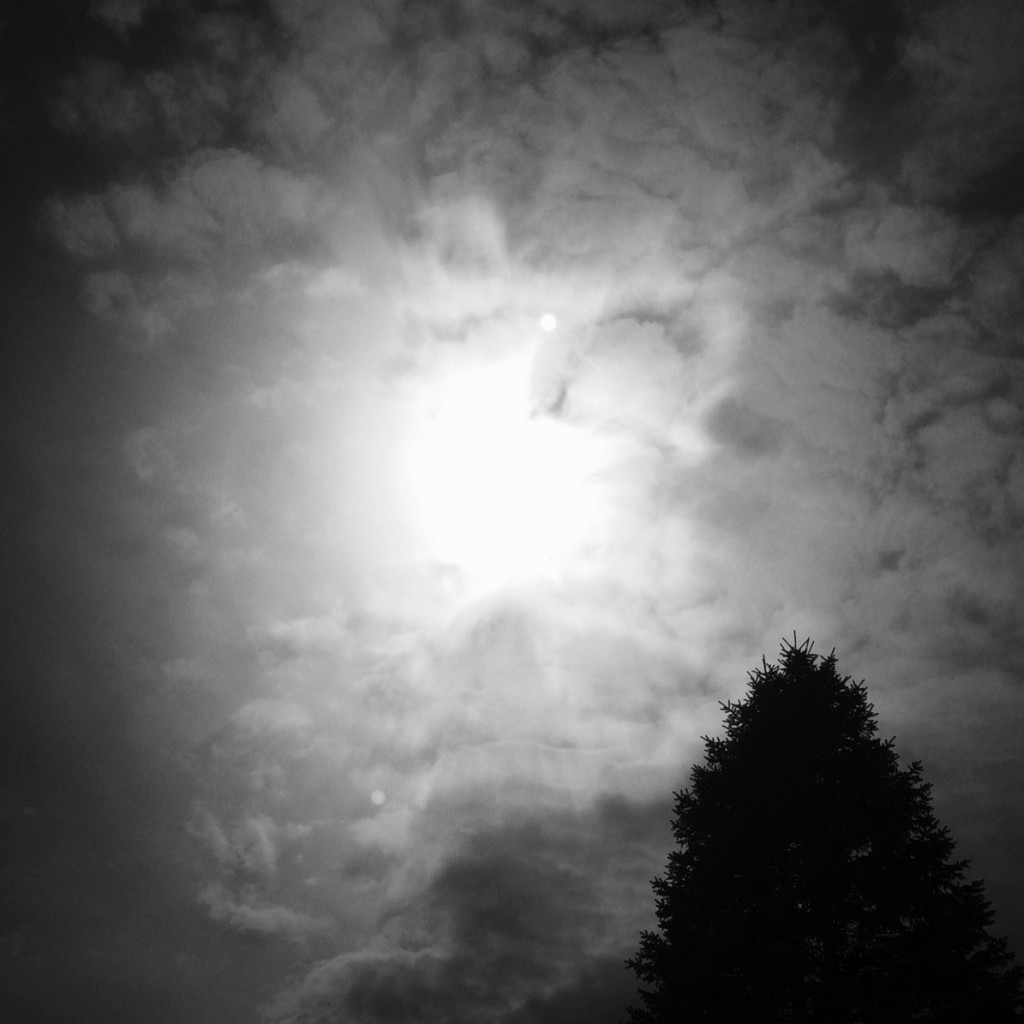 Silent Sunday 150322
