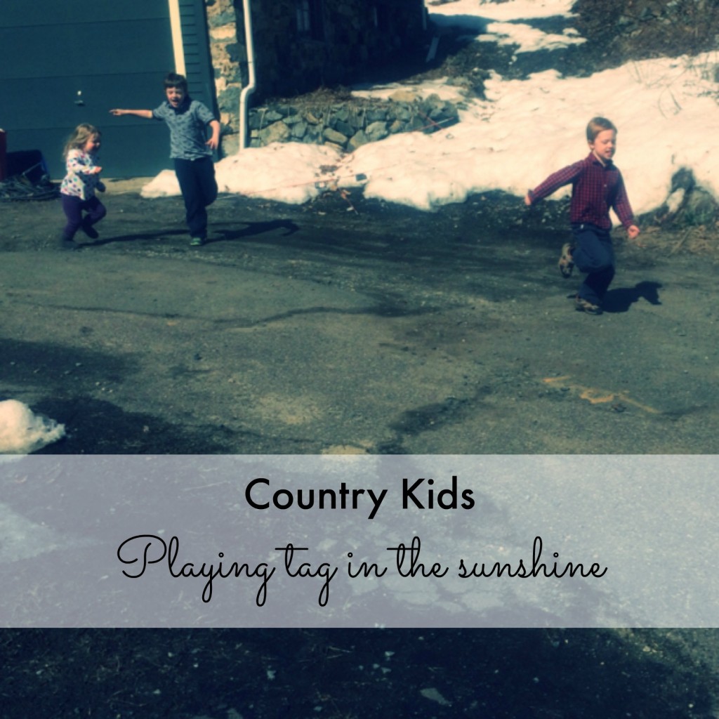 Country Kids Playing tag in the sunshine
