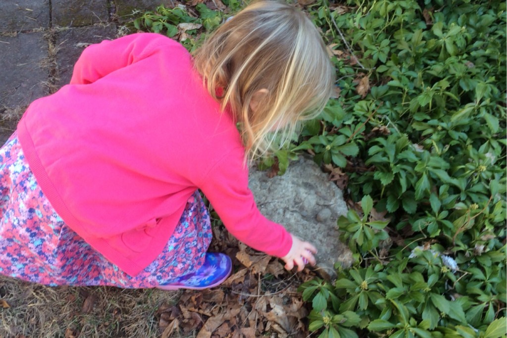 Egg Hunt 2