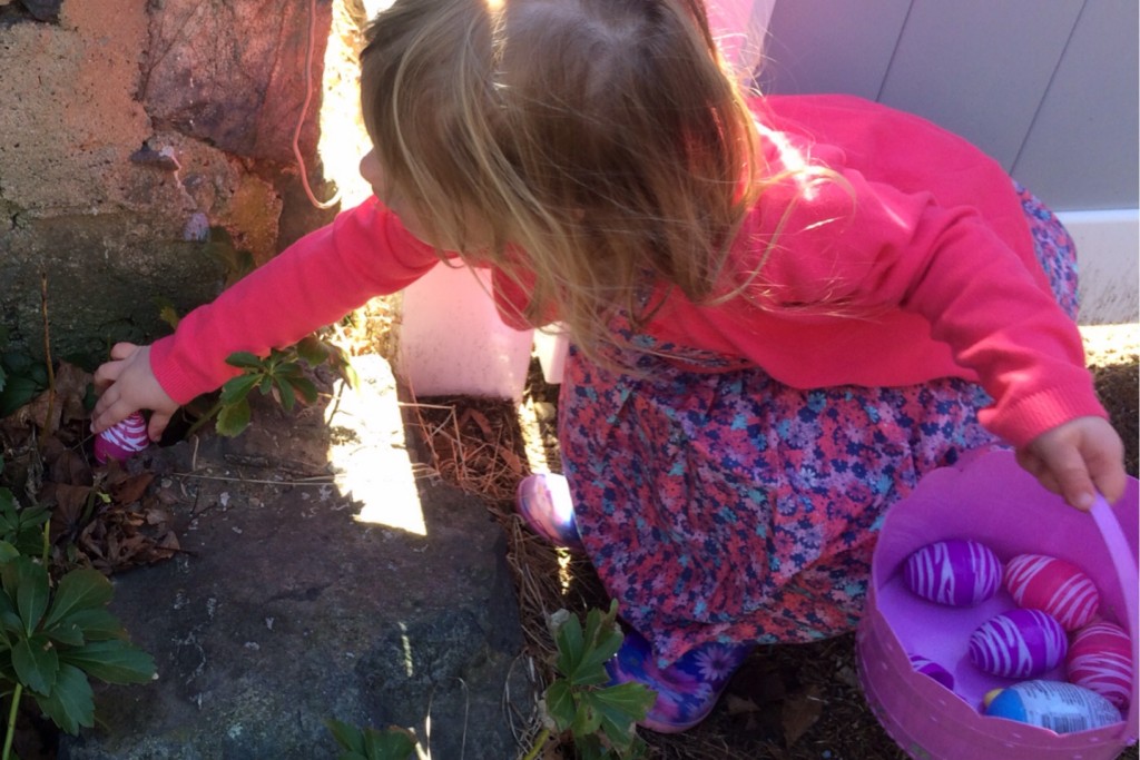 Egg Hunt 6