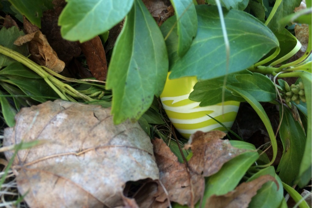 The Last Egg