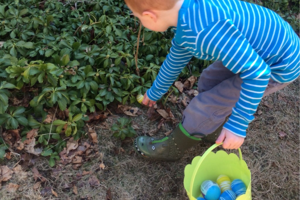 The Last Egg Found