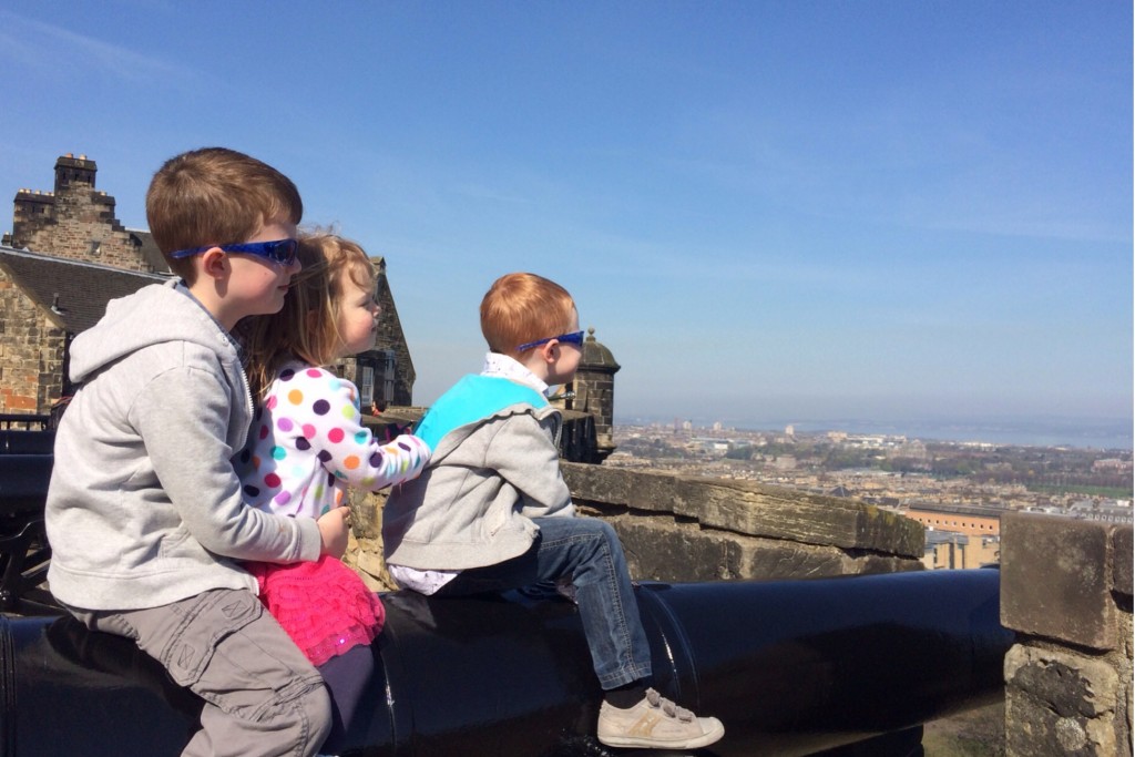 The Cannon View 3