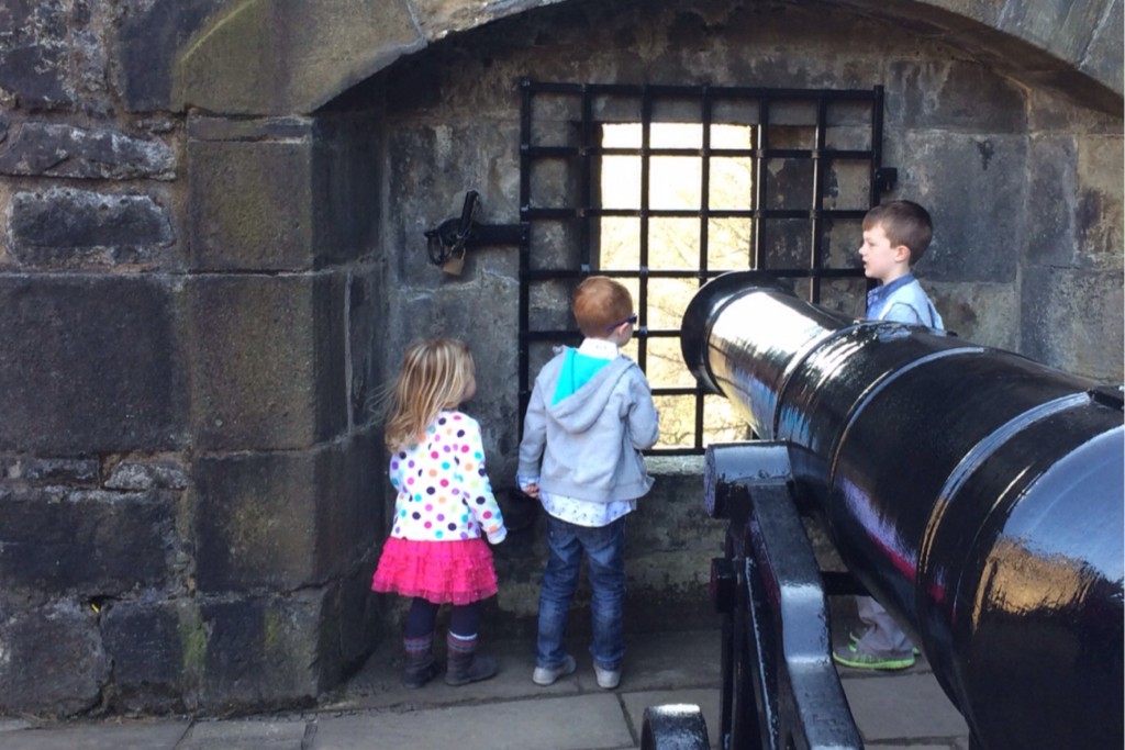 The Cannon View 5