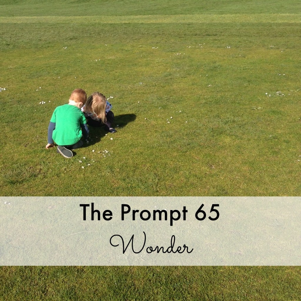 The Prompt 65
