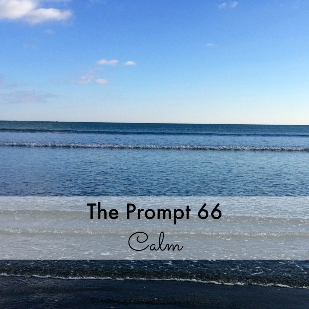 The Prompt 66: Calm