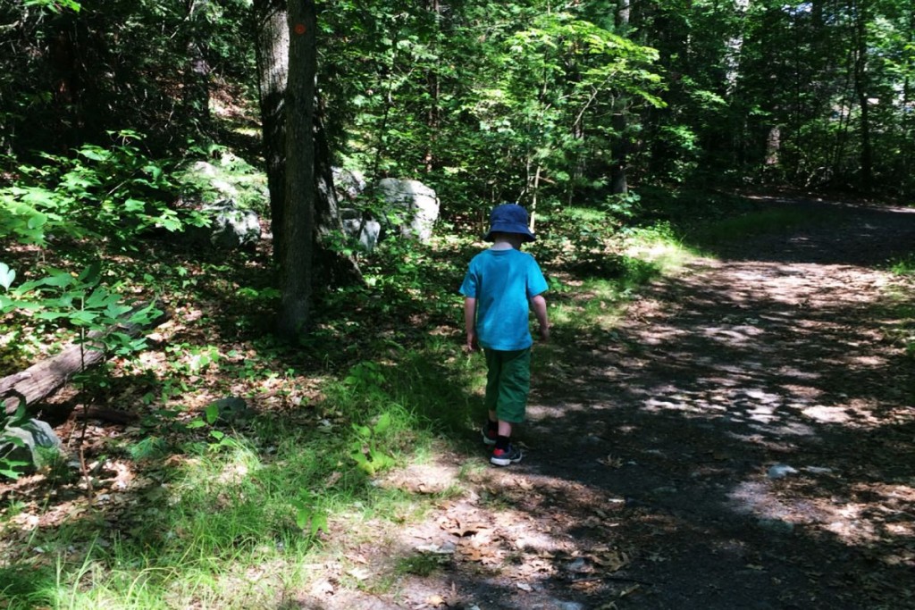 Escape to the Woods 15
