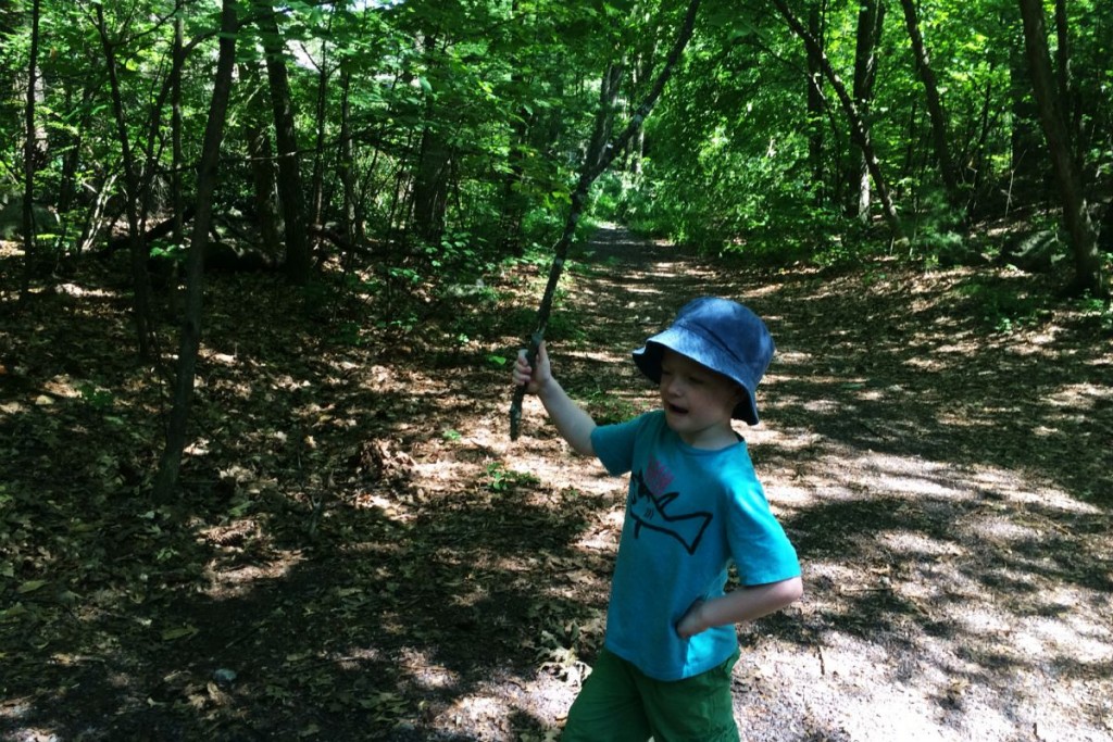 Escape to the Woods 16