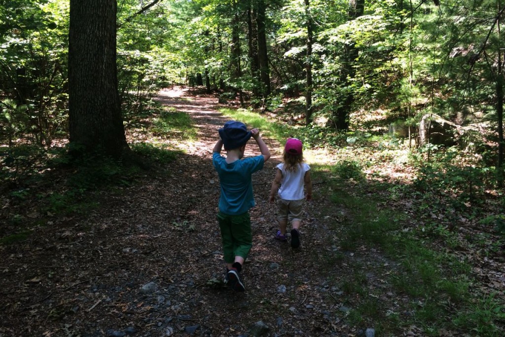 Escape to the Woods 9