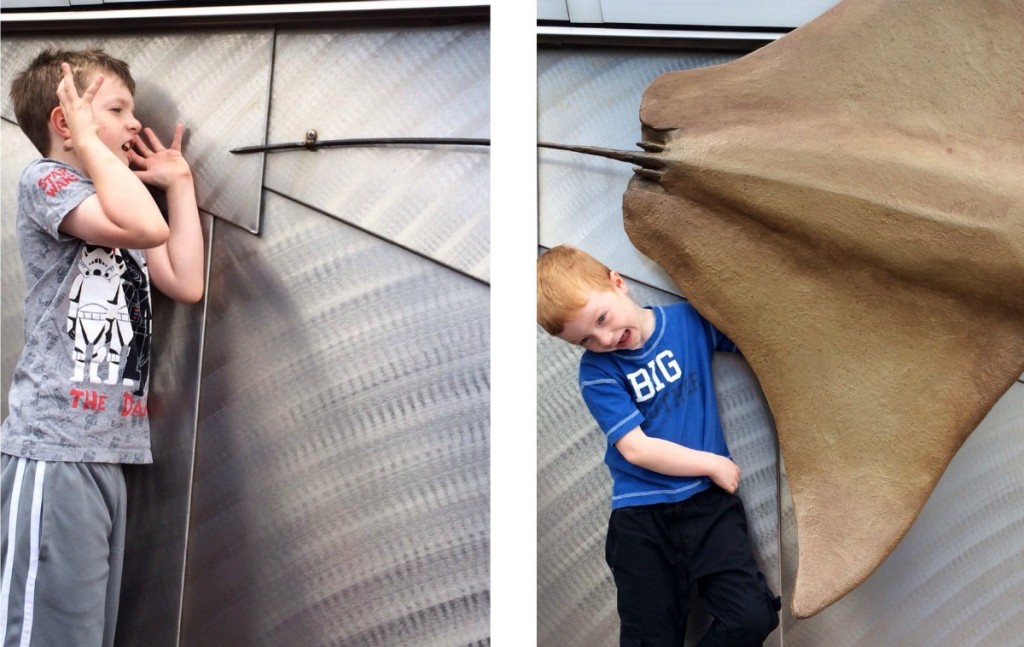 Fun with a Ray