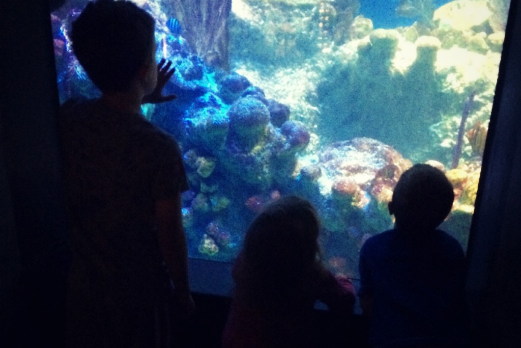Main Tank