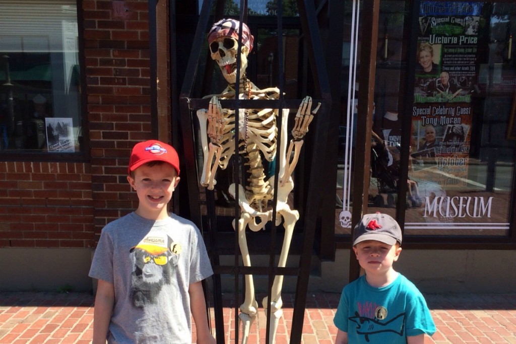 Skeleton