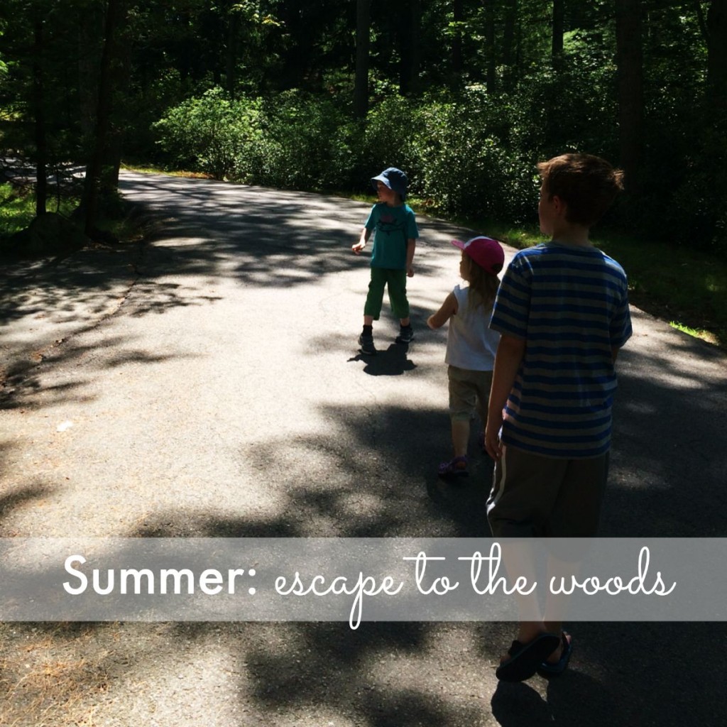 Summer: escape to the woods