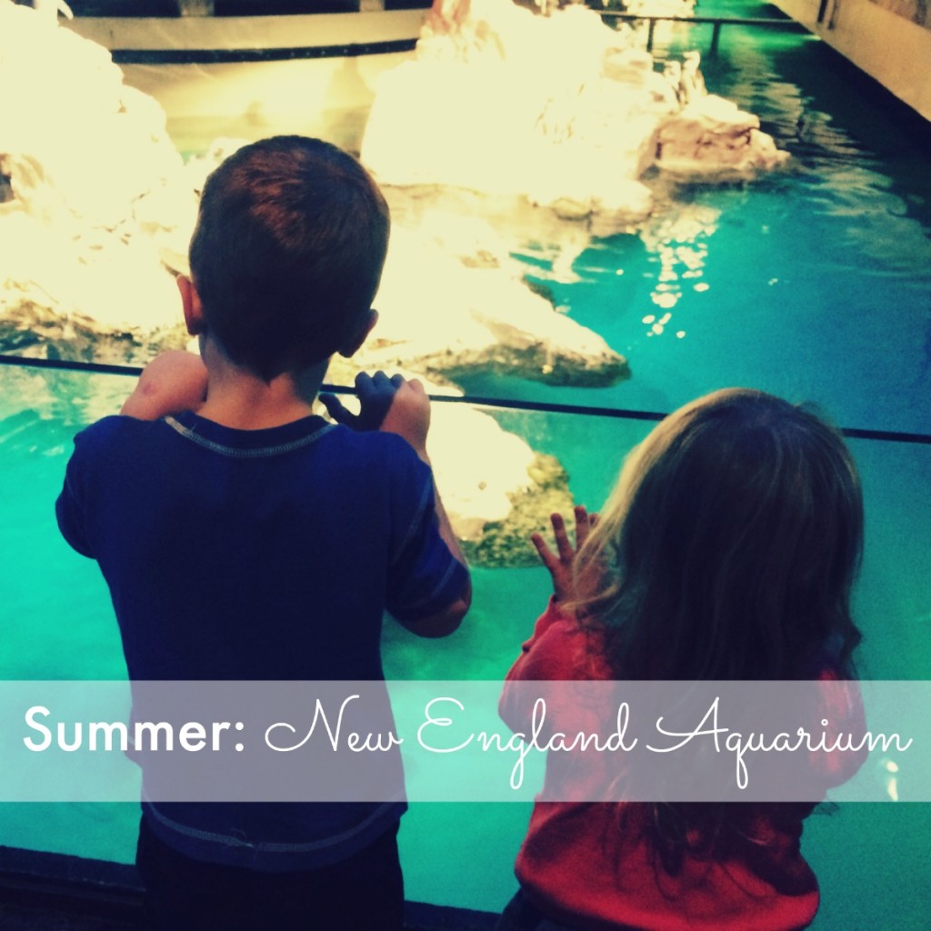 Summer: New England Aquarium
