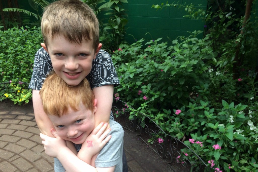 The Butterfly Place 10