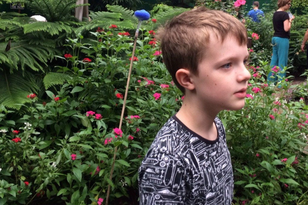The Butterfly Place 3