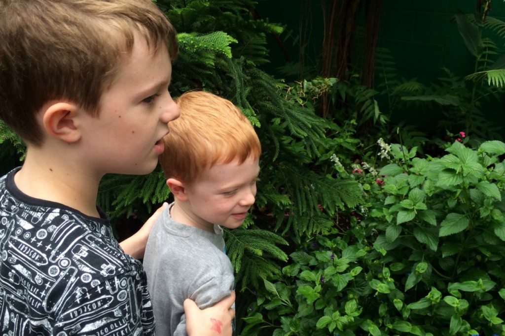 The Butterfly Place 4