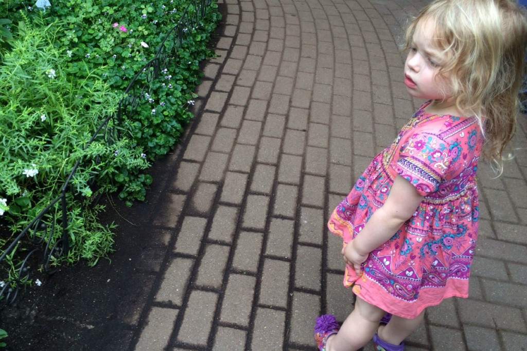 The Butterfly Place 5