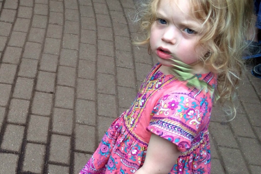 The Butterfly Place 6