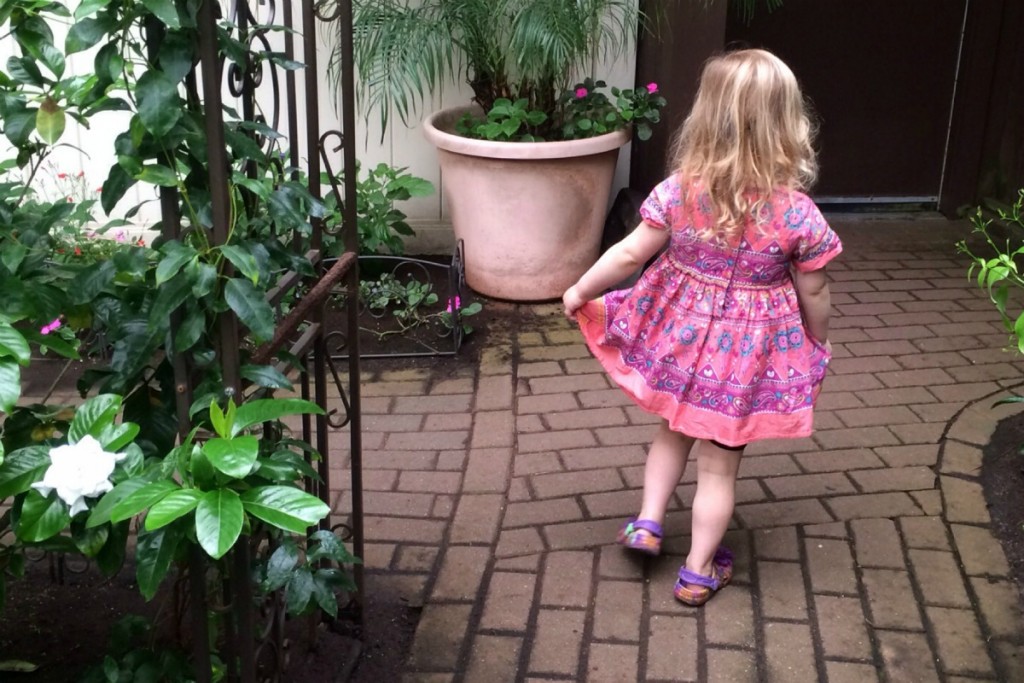 The Butterfly Place 9