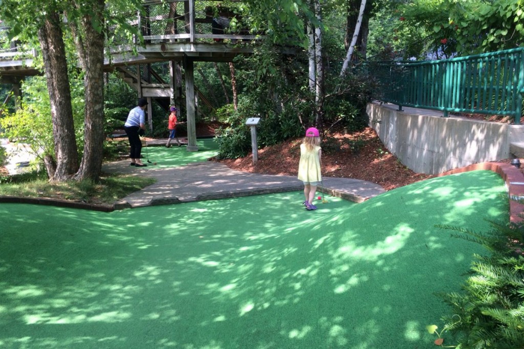 Mini Golf 3