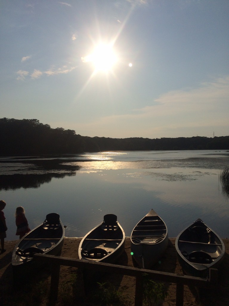 Silent Sunday: 23 August 2015