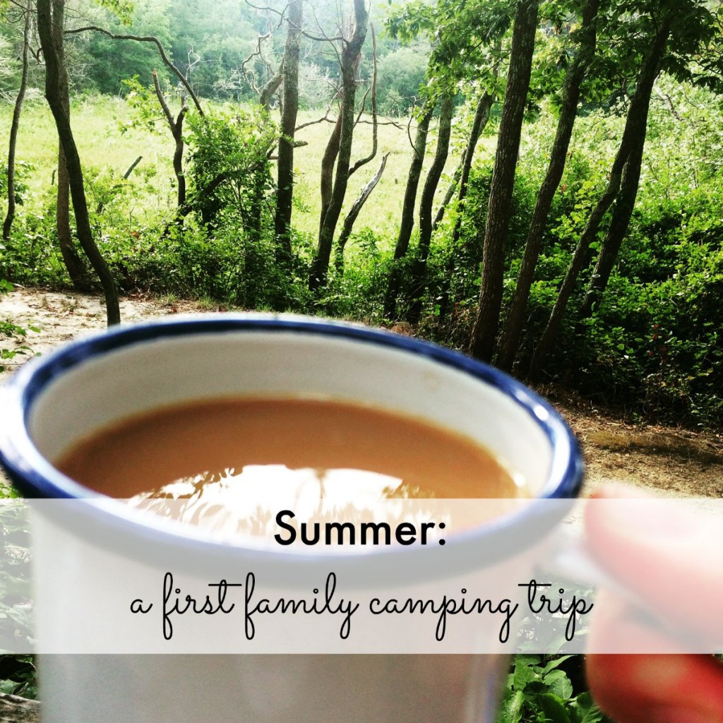 Summer: a first family camping trip