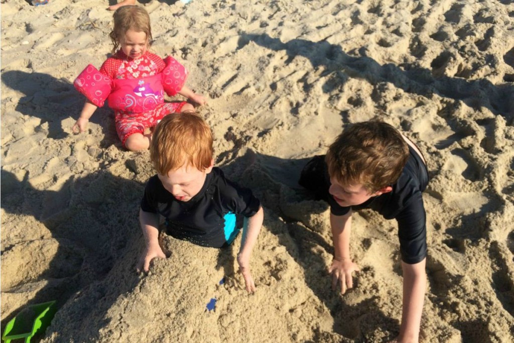 Cape Cod 10