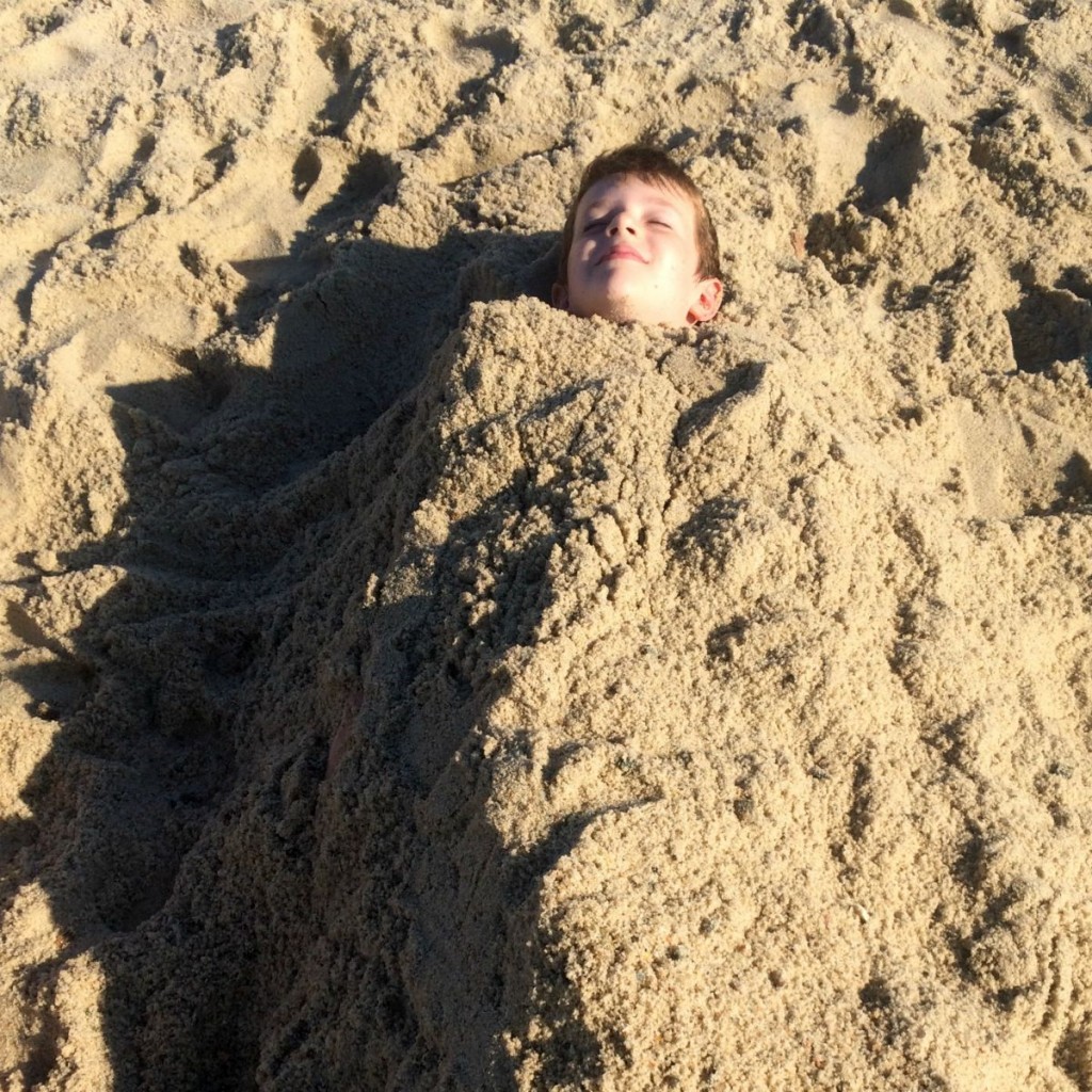 Cape Cod 12
