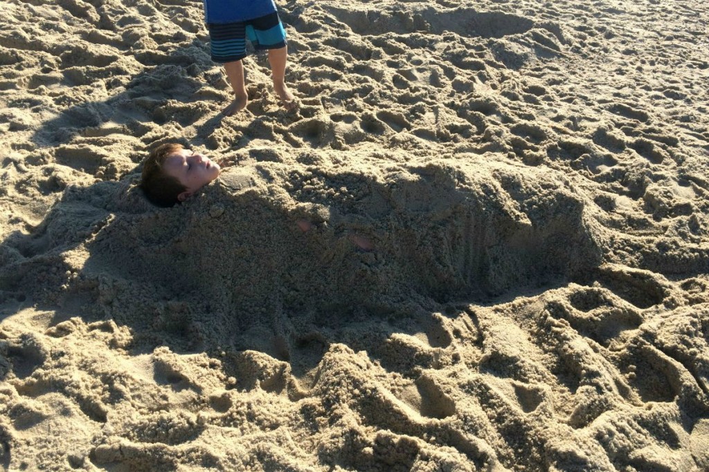 Cape Cod 13