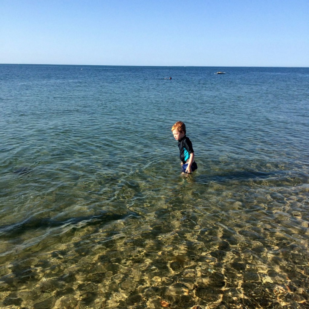 Cape Cod 14