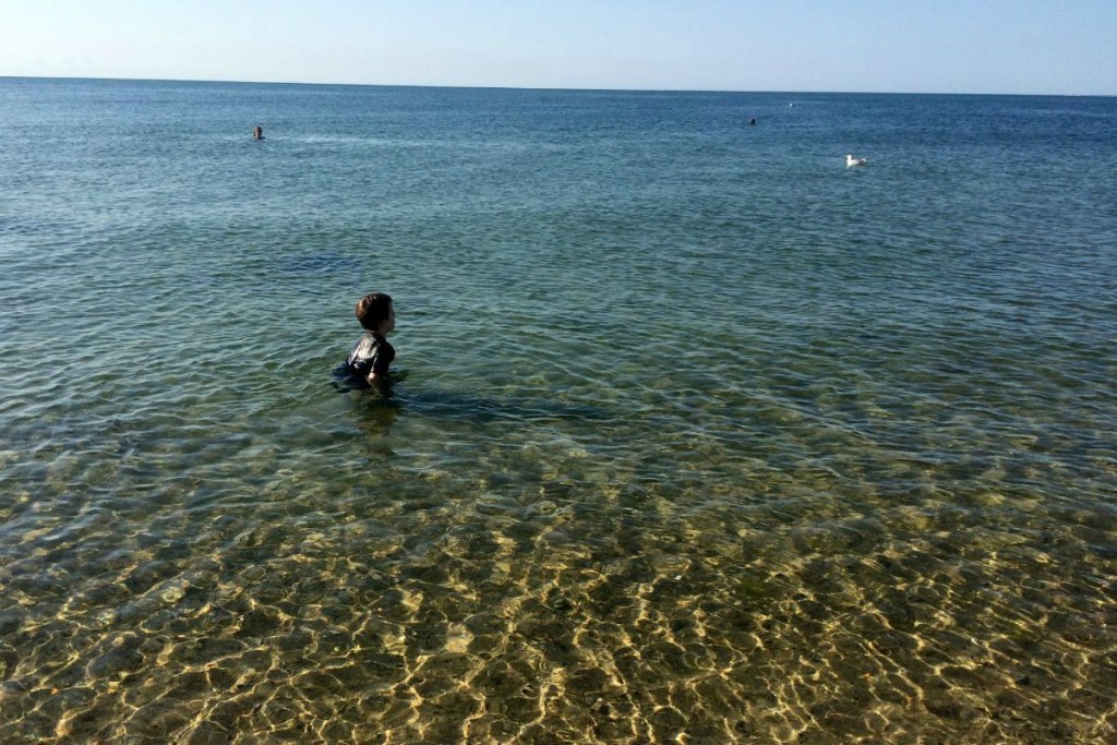 Cape Cod 15